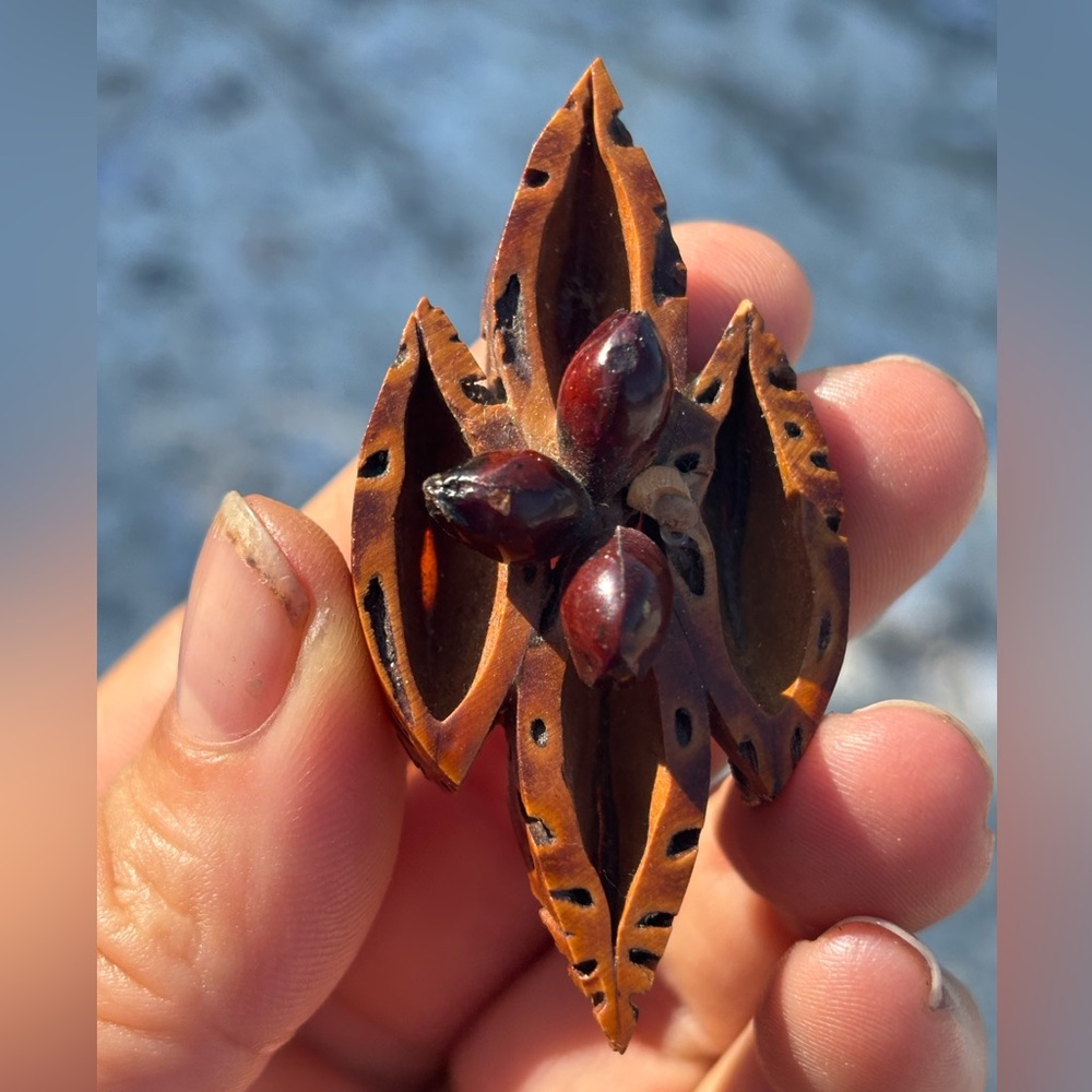 HAND CRAFTED Unique Brown Seed Pod Brooch NATURE Inspired Wooden